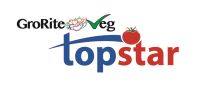 Groriteveg Topstar Device mark 4413451 Trademark