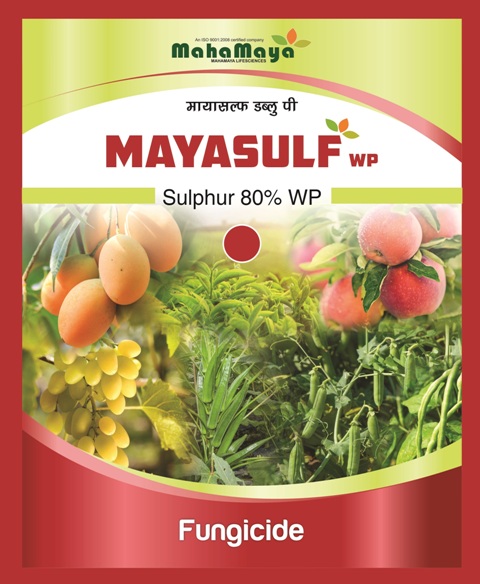 Mayasulf Wp Device mark 4437381 Trademark