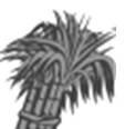 Sugarcane – Logo Device mark 4697669 Trademark