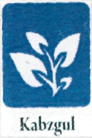Kabzgul(device) Device mark 2173499 Trademark