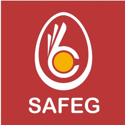 Safeg Device mark 4729697 Trademark