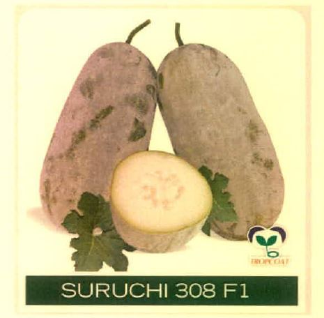 Suruchi 308 F1 Device mark 4915479 Trademark