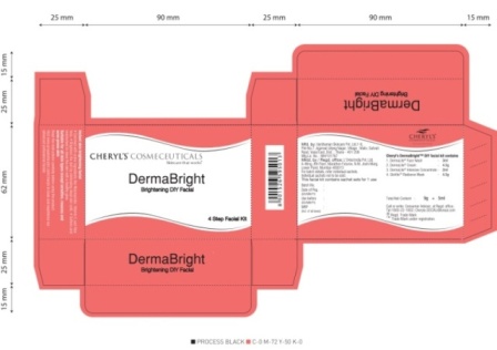 Cheryl’s Dermabright Diy Facial Kit Device mark 4936924 Trademark