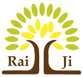 Raiji Device mark 4941479 Trademark