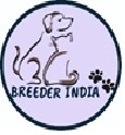 Breederindia Device mark 4941775 Trademark