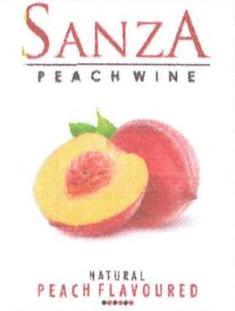 Sanza Device mark 4951976 Trademark