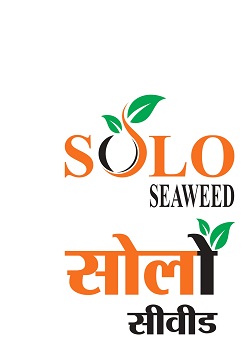 Solo Seaweed Device mark 5297766 Trademark