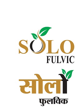 Solo Fulvic Device mark 5297767 Trademark