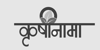 Krushinama Device mark 5305281 Trademark