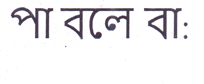 Pa Bole Bah Device mark 5306320 Trademark
