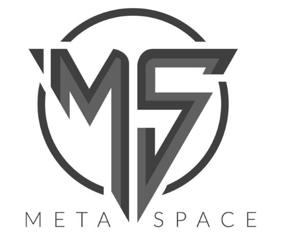 Ms Metaspace Device mark 5307462 Trademark