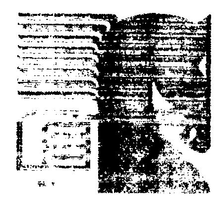 Device Device mark 414541 Trademark