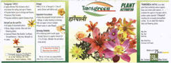 Transgreen Device mark 909631 Trademark