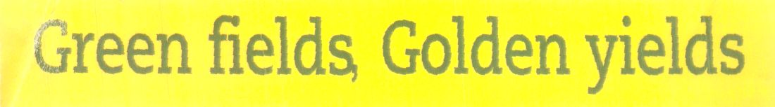 Green Field, Golden Yields (label) Device mark 904721 Trademark