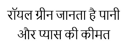 Royal Green Janta Hai Pani Aur Pyas Ki Keemat Device mark 5225541 Trademark