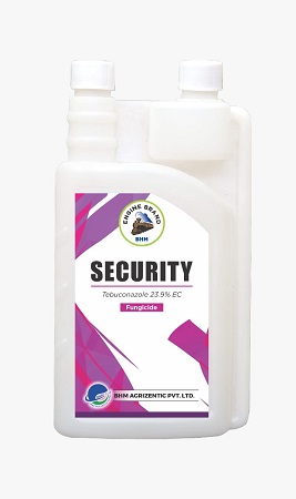 Security Device mark 5272101 Trademark