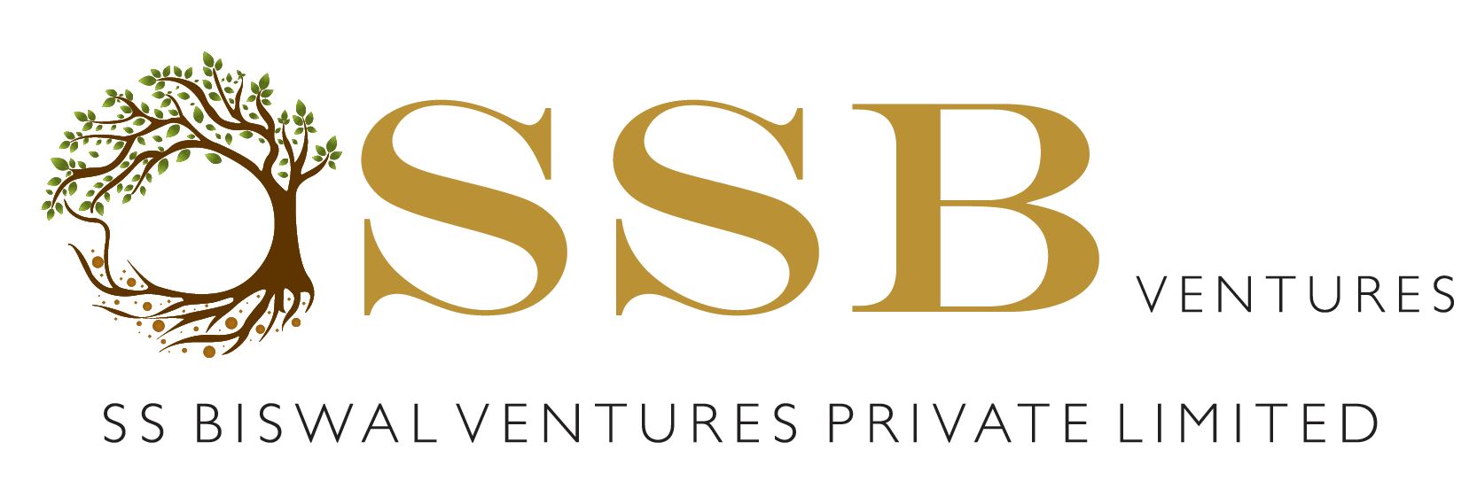 Ss Biswal Ventures Device mark 5369001 Trademark