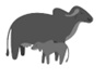 Image Of Calf And Cow Device mark 5554975 Trademark