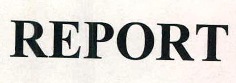 Report Device mark 2434848 Trademark