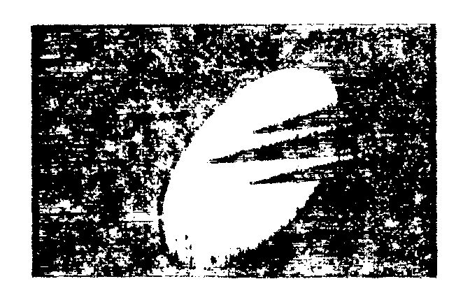 Logo Device mark 597100 Trademark