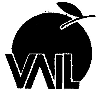 Vail Device mark 713909 Trademark