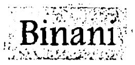 Binani (logo) Device mark 725896 Trademark