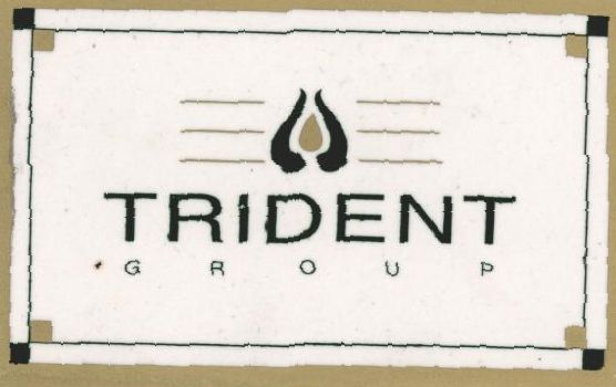 Trident G R O U P Device mark 748840 Trademark