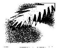 Misc. Geom. (device) Device mark 819769 Trademark