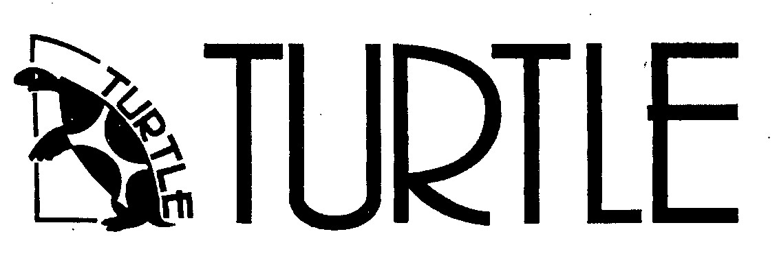 Turtle Device mark 864252 Trademark