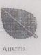 Leaf Device (laebl) Device mark 942552 Trademark