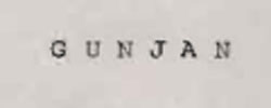 Gunjan Device mark 950716 Trademark