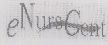E Nurs Cen (label) Device mark 1024165 Trademark