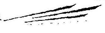 Device Mark Device mark 1040578 Trademark