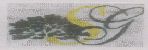 Sg (label) Device mark 1073061 Trademark