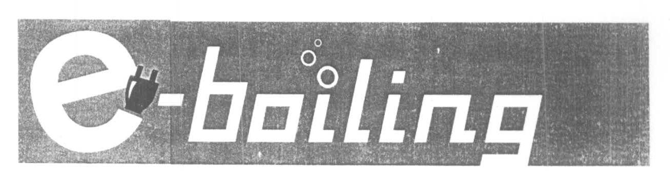 E-boiling Device mark 1175631 Trademark