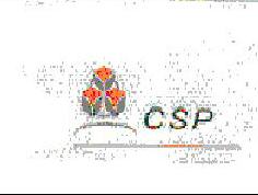 Csp (label) Device mark 1255163 Trademark