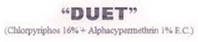 Duet Device mark 1283133 Trademark