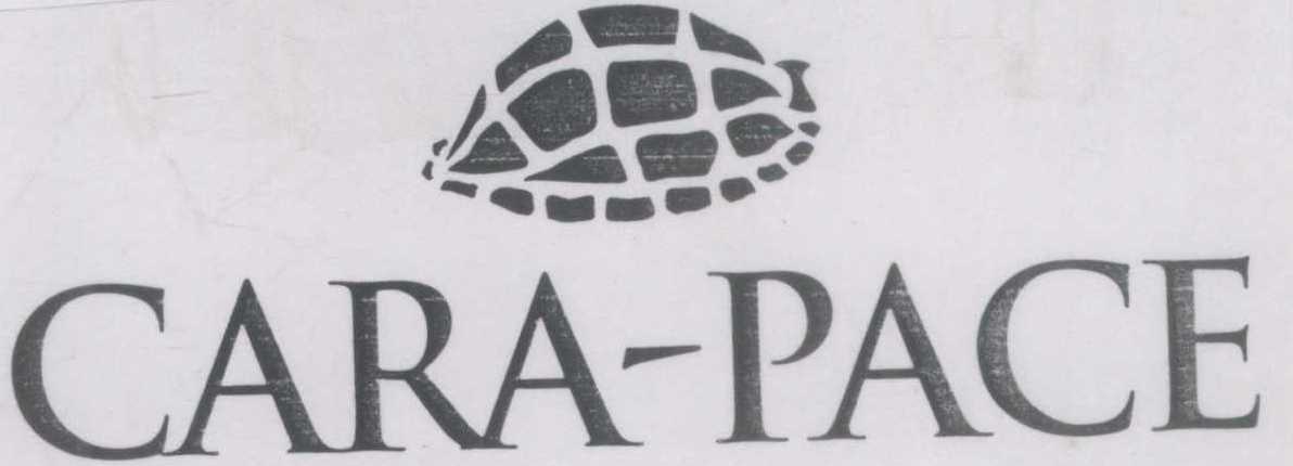 Cara-pace ( Device) Device mark 1310830 Trademark