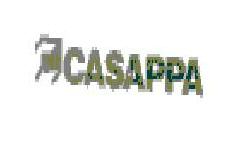 Casappa Device mark 1360346 Trademark