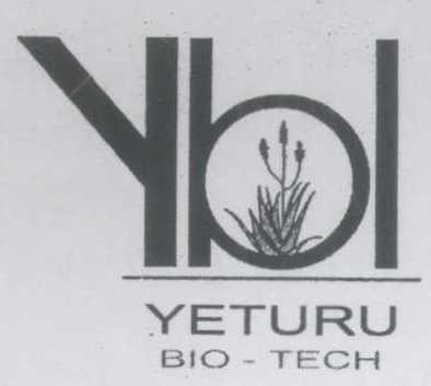 Ybl (logo) Device mark 1404573 Trademark