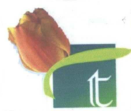 T With Lable Device mark 1448136 Trademark