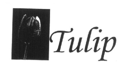 Tulip (label) Device mark 1448955 Trademark