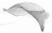 Logo Device mark 1490984 Trademark