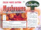 Eco Valley Mushroom (label) Device mark 1495265 Trademark