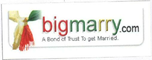 Big Marry .com With Label. Device mark 1623126 Trademark