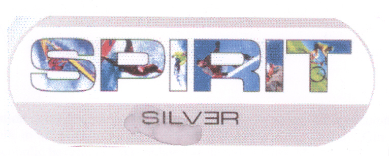 Spirit Silver (dev) Device mark 1693883 Trademark