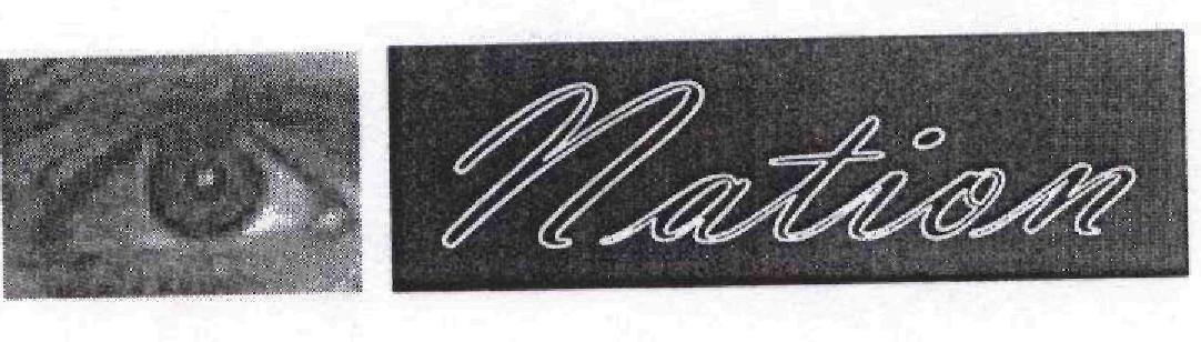 Nation Device mark 1725846 Trademark