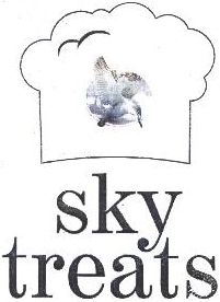 Sky Treats Device mark 1873324 Trademark