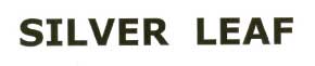 Silver Leaf Device mark 1895964 Trademark