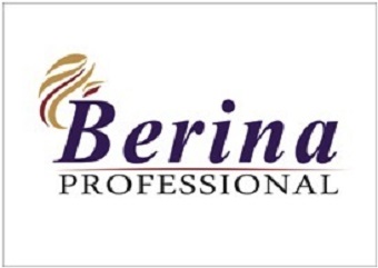 Berina Professional Device mark 5323288 Trademark